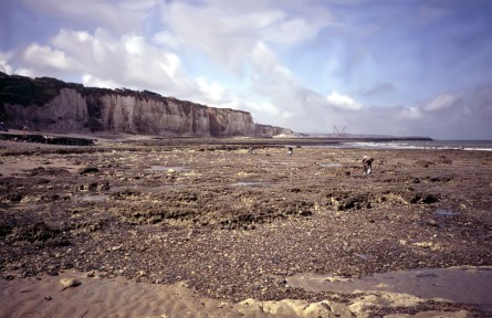 The “churt” (another name for flint) filled beach at Dieppe. The scene in the picture, a peaceful morning in late July 1989, Molly Prince in the foreground, Nancy Fey walking behind. They are looking for mussels. This is essentially the same place where the Royal Regiment of Canada landed on August 19, 1942 and were summarily slaughtered by machine fire coming from Nazi defenses on the chalk cliffs above